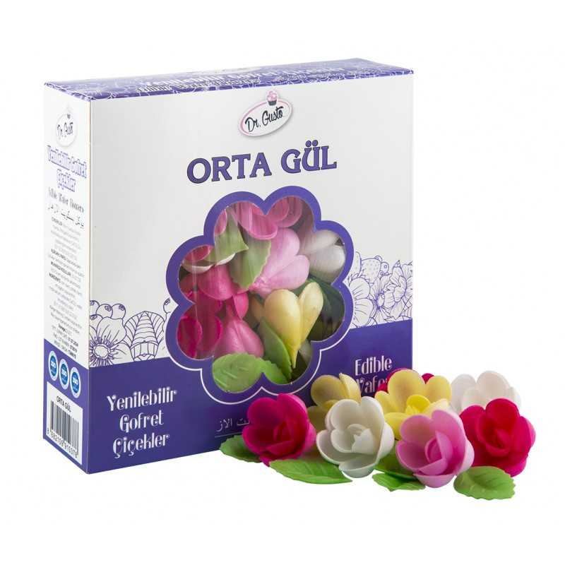 Dr. Gusto Jestivo Ukrasno Cvijeće - Srednja Veličina