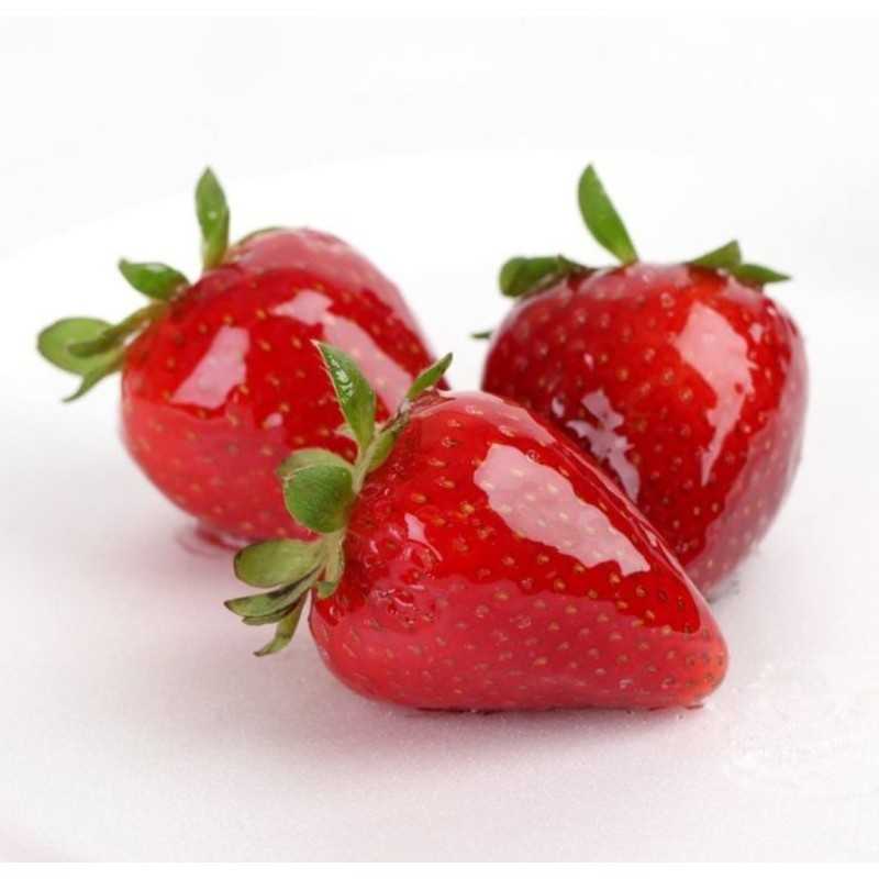 Meister Mirror Hladna Glazura 7kg - Neutralna