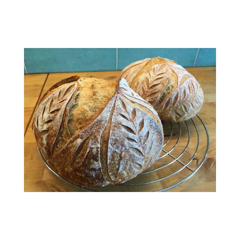 Pekarski žilet Karadag Metal